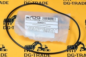 Уплотнительное кольцо Carraro 028571